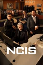 NCIS (2025)